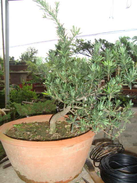 DSC00437_ͼ.jpg