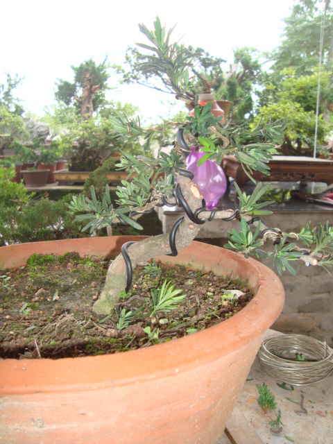 DSC00442_ͼ.jpg