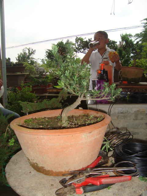 DSC00440_ͼ.jpg