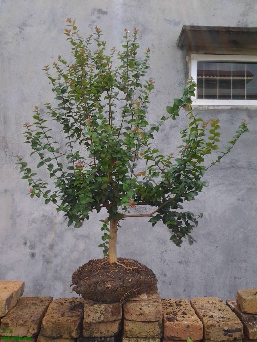 2014-07-20 10.26.57.jpg