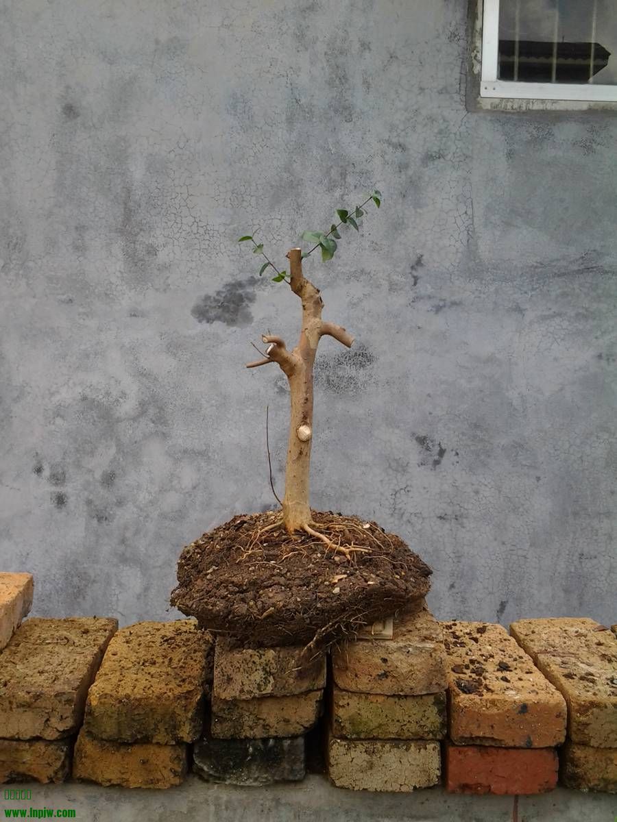 2014-07-20 10.35.36.jpg