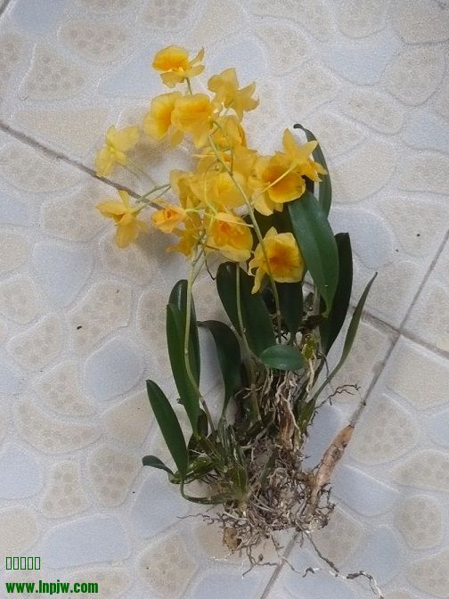 P1020815.JPG