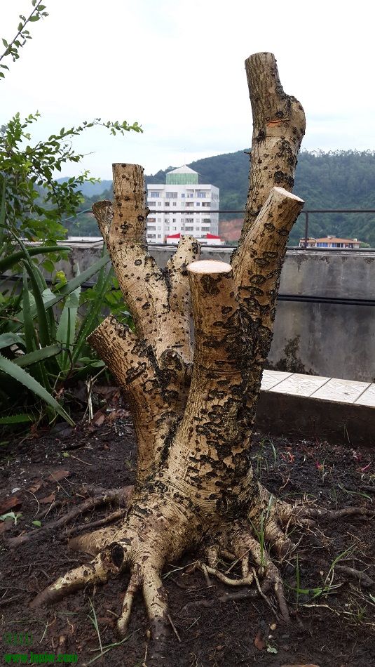 20140720_180057.jpg