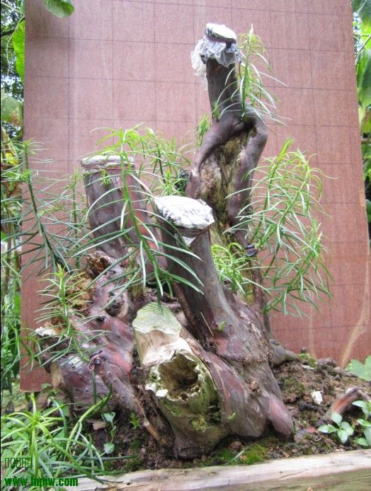 QQͼƬ20140723142846.jpg