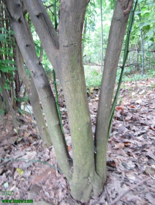QQͼƬ20140724085037.jpg