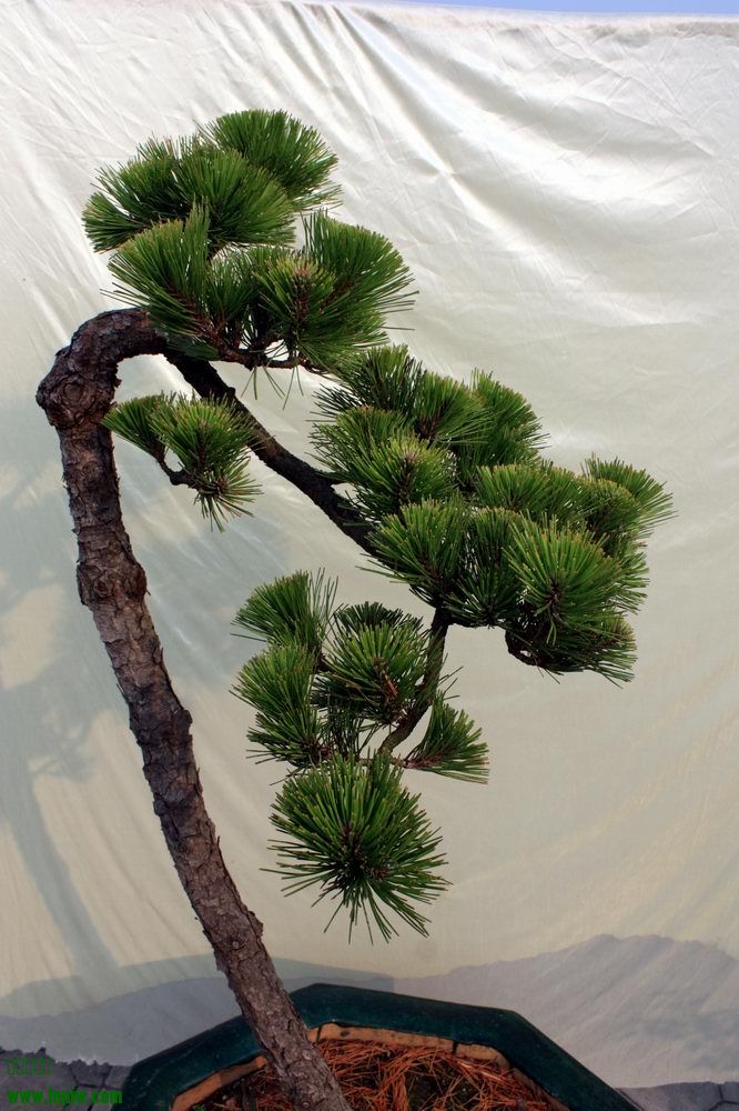 20140724 020.jpg