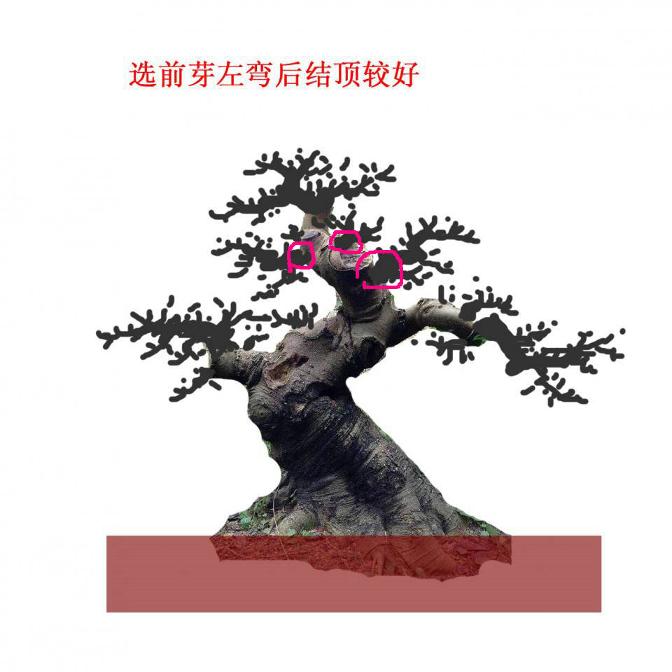 145823b2y6ifm2zbixeuiu_jpg_thumb.jpg