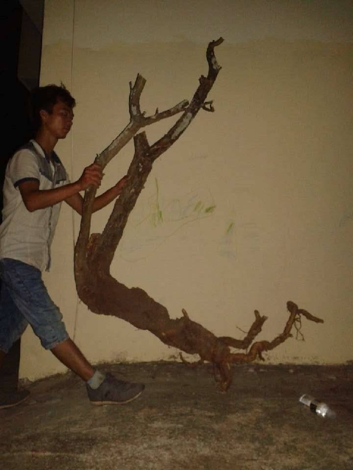 image.jpg