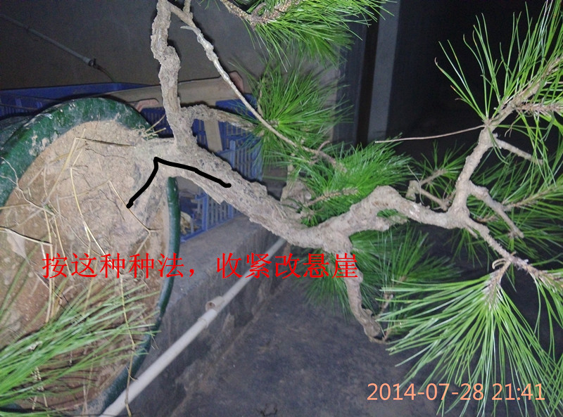 IMG_20140728_214114_1.jpg