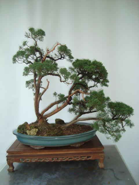 DSC00572_ͼ.jpg