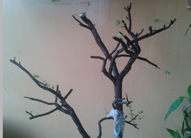 QQͼƬ20140729225008.jpg