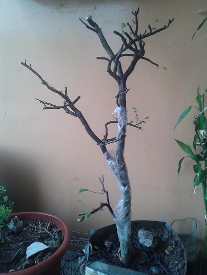 QQͼƬ20140729225016.jpg