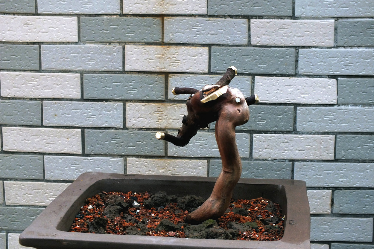 003.JPG
