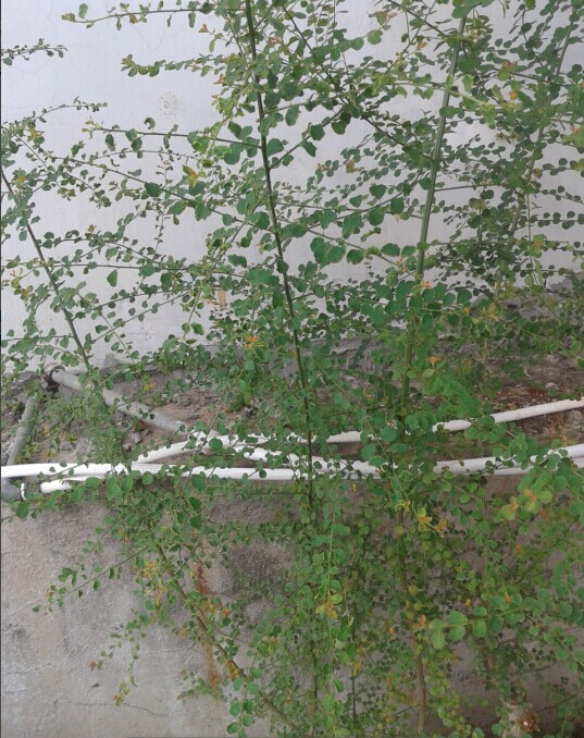 QQͼƬ20140731145451.jpg