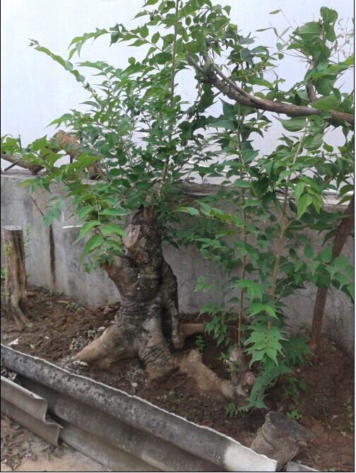 QQͼƬ20140801111837.jpg