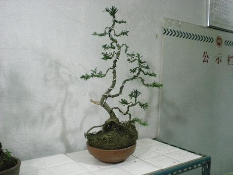 ȸ2.jpg