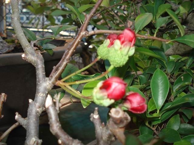 DSC00001.JPG