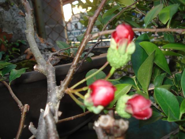 DSC00002.JPG