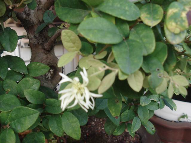 DSC00005.JPG