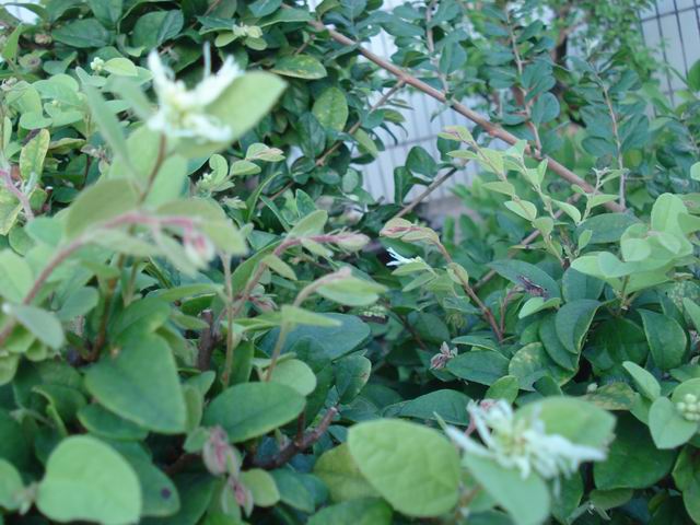 DSC00006.JPG