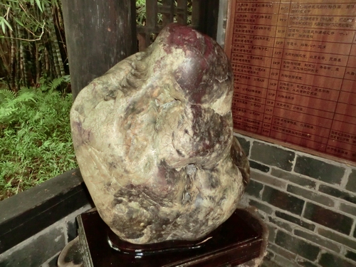 CIMG0907.JPG