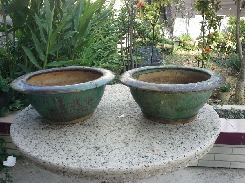 20140803_155213_С.jpg