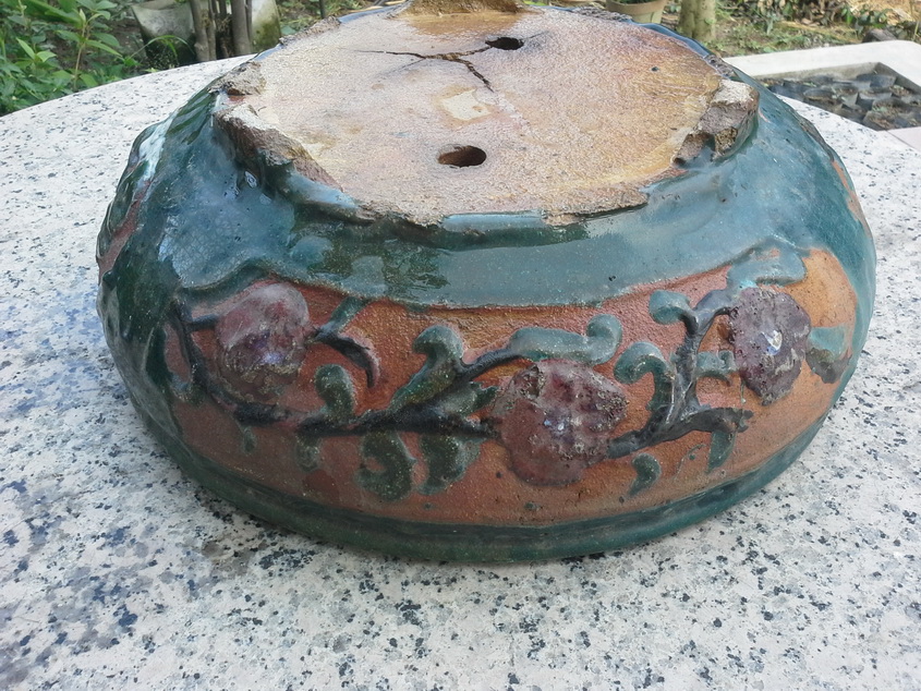 20140803_155545_С.jpg