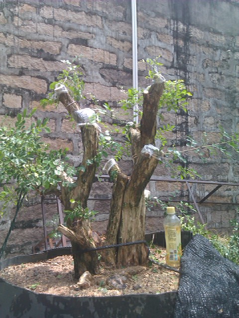 IMAG0023.jpg