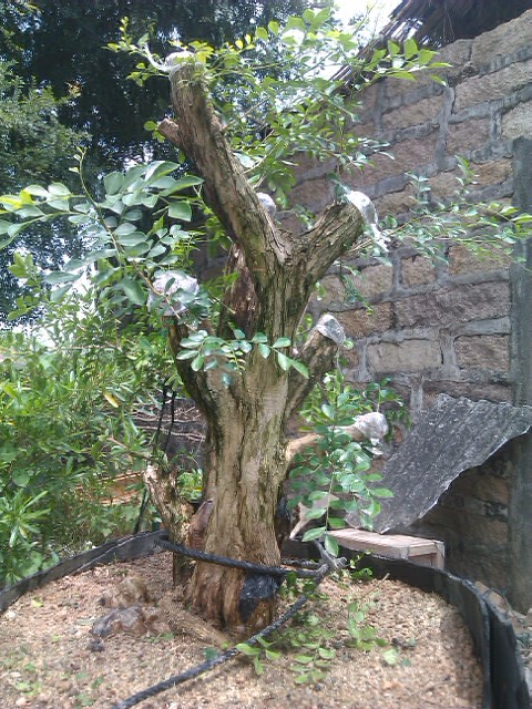 IMAG0025.jpg