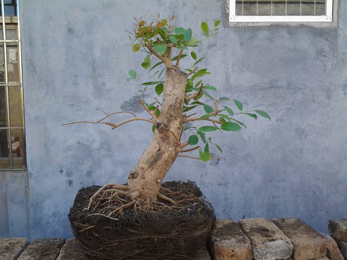 2014-08-02 09.39.23.jpg