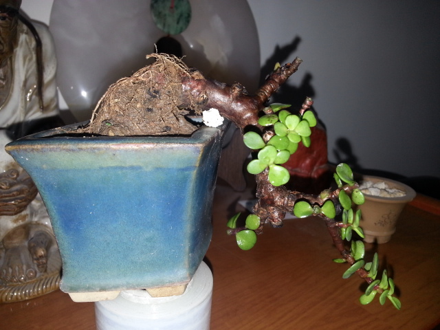 20140808_183904.jpg