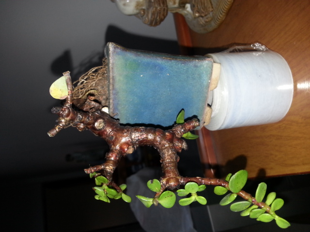 20140808_183915.jpg