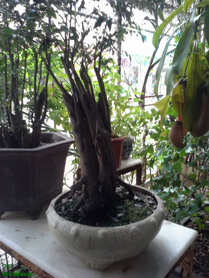 20140810_115604_С.jpg