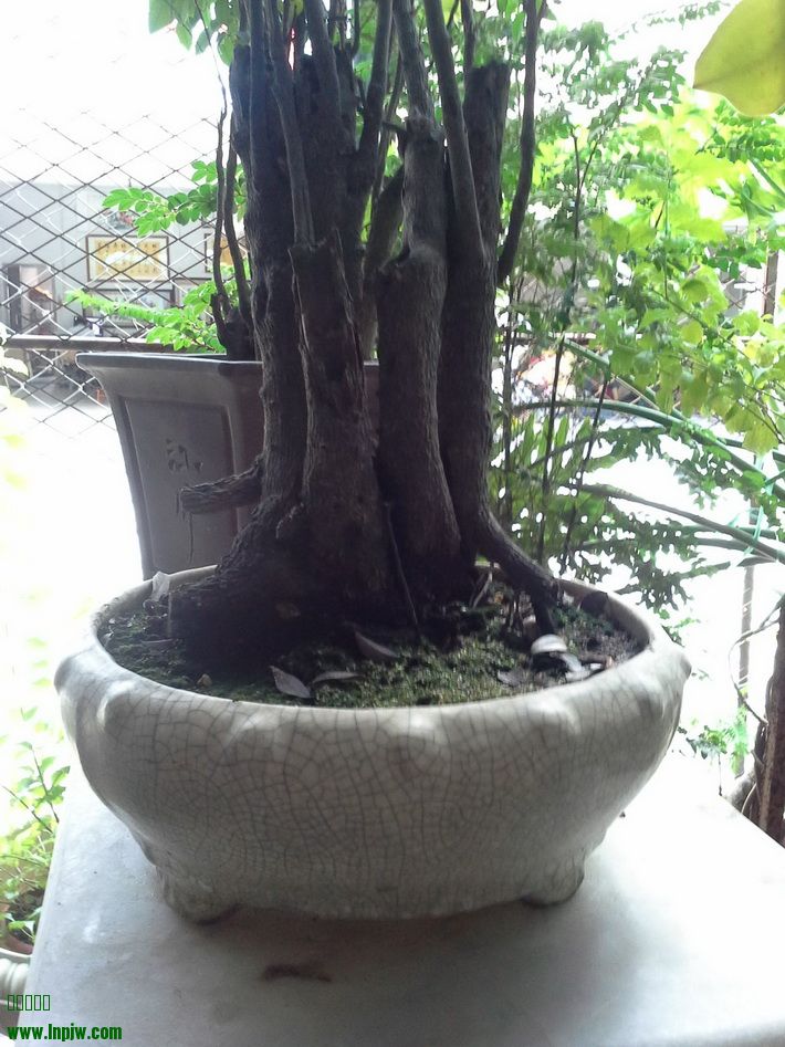 20140810_115613_С.jpg