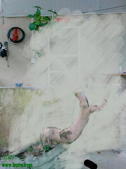 A3E285A7E98DB283AB9517930B093A54.jpg