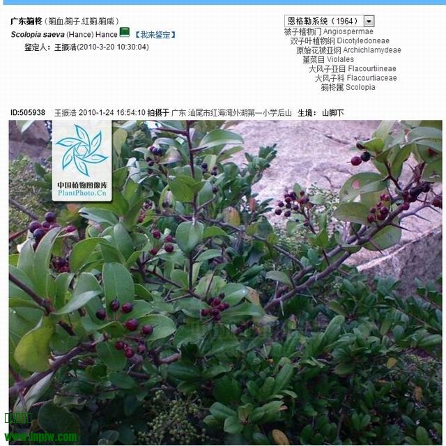 2ISGQX8X4%KLS2YSV]}Y6@H.jpg