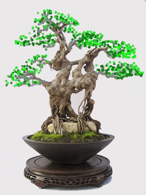 7`19N%RW9XIN4JIPJUE72~T.jpg