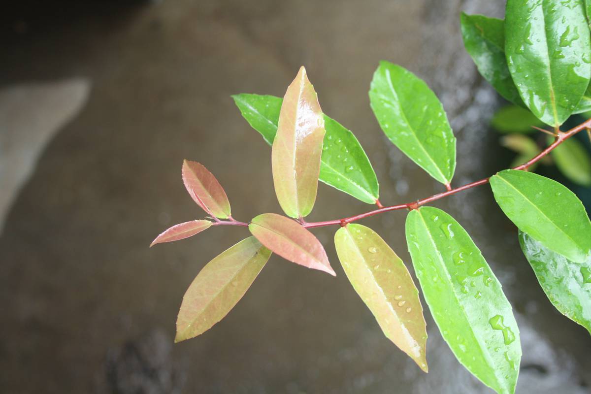 Ƭ20131026ۺ 1729.jpg