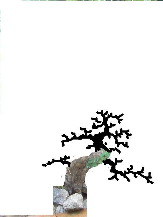 for linnan.JPG