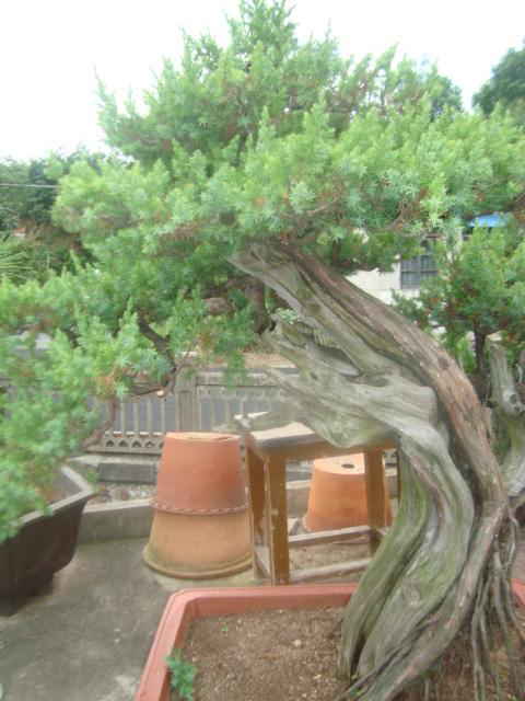 DSC00780_ͼ.jpg