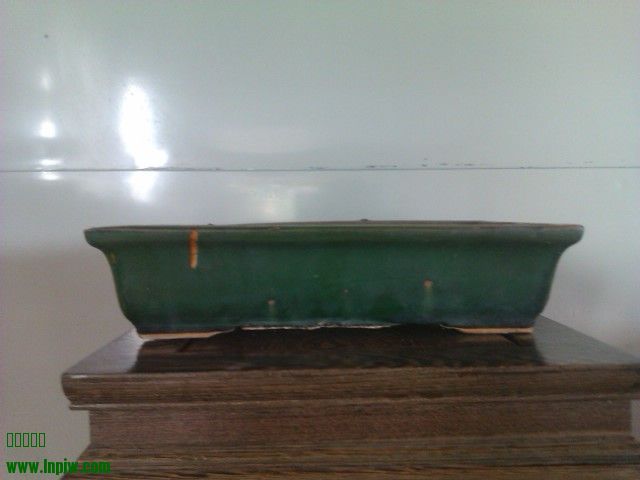 IMAG0074.jpg