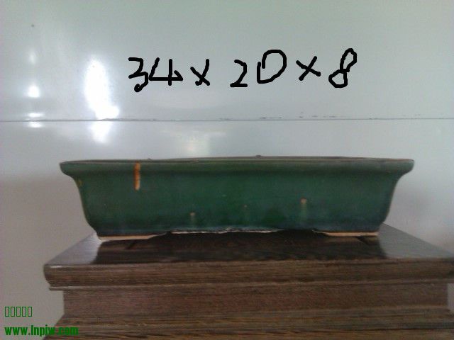 IMAG0074_.jpg