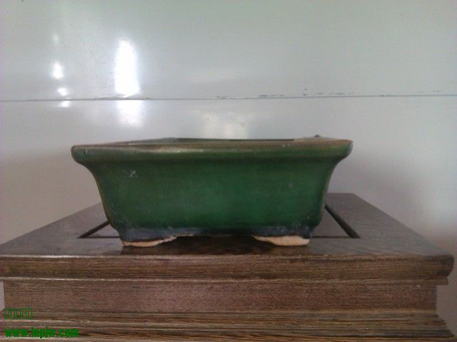 IMAG0077.jpg