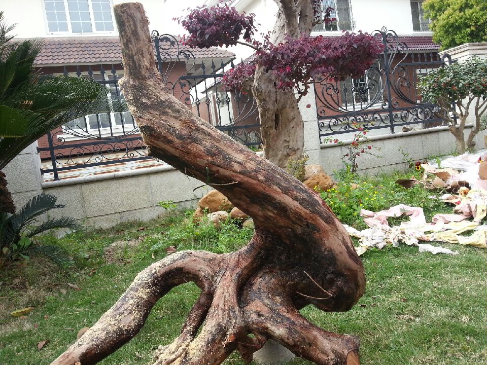 20140411_082546.jpeg