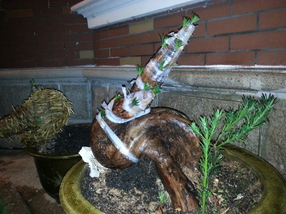 20140418_201243.jpeg