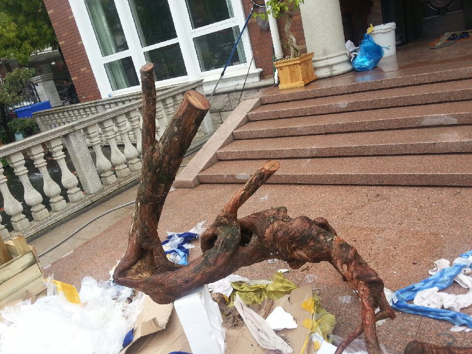 20140427_100850.jpeg