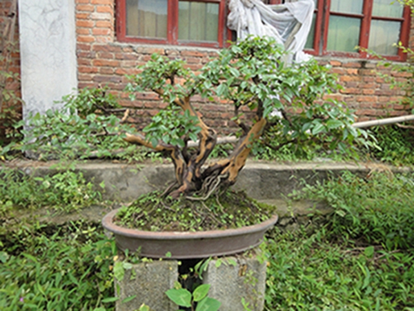 DSC02909.JPG