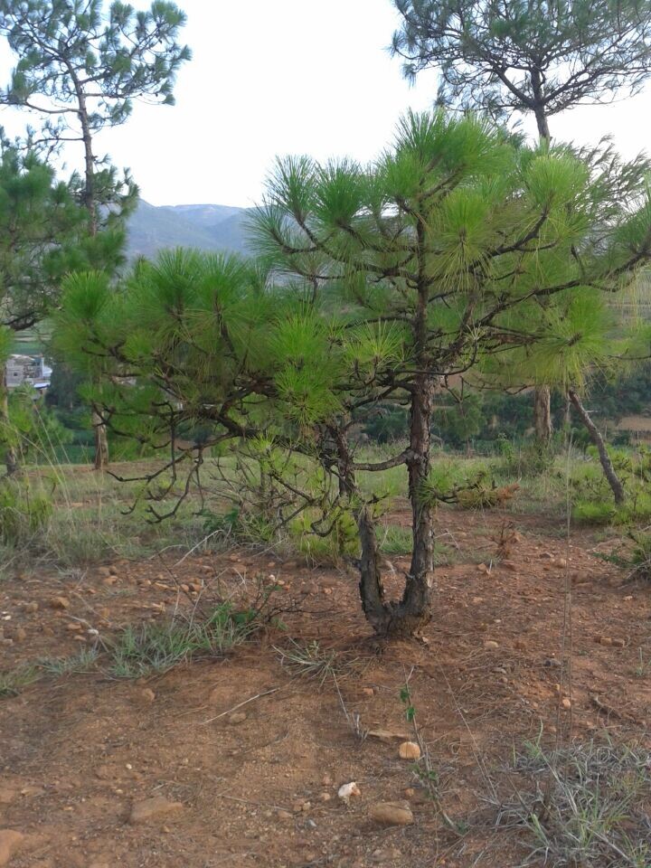 QQͼƬ20140624222027.jpg