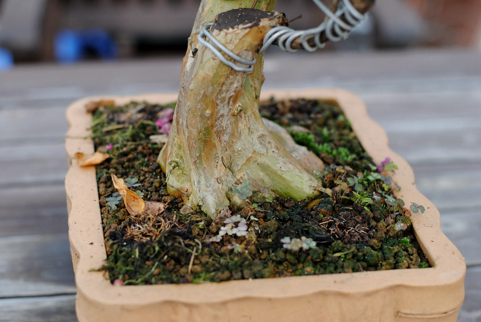 DSC_1432.JPG