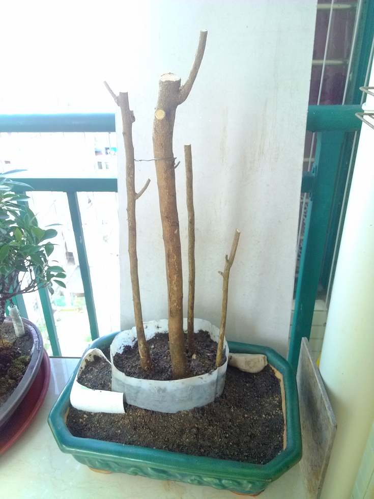 IMG_20140823_104740.jpg